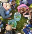 1714633463436.jpg